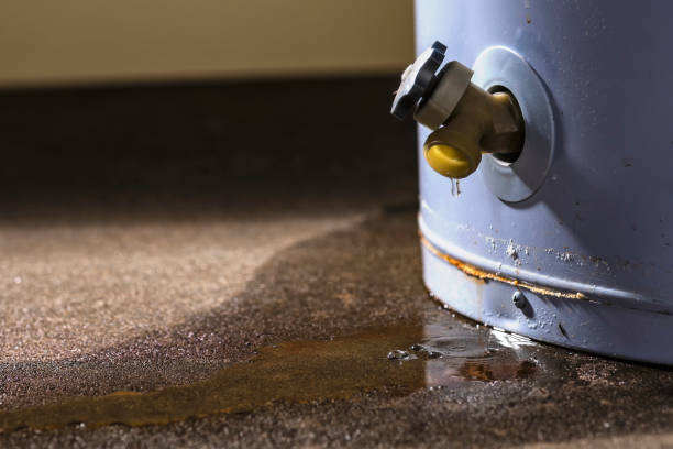 Best Local water damage restoration  in Berthoud, CO