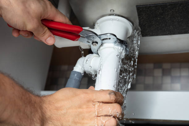 Best Water damage restoration process  in Berthoud, CO
