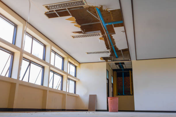 Best Fire Damage Restoration  in Berthoud, CO