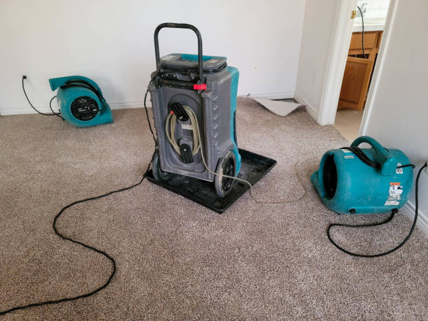 Best Water damage contractors near me  in Berthoud, CO