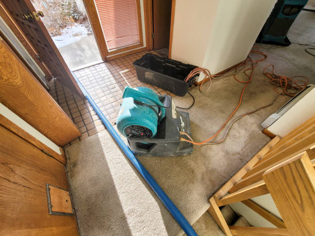 Best Flood restoration services  in Berthoud, CO