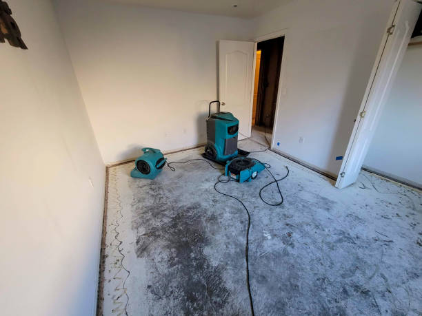 Best 24/7 water damage repair  in Berthoud, CO