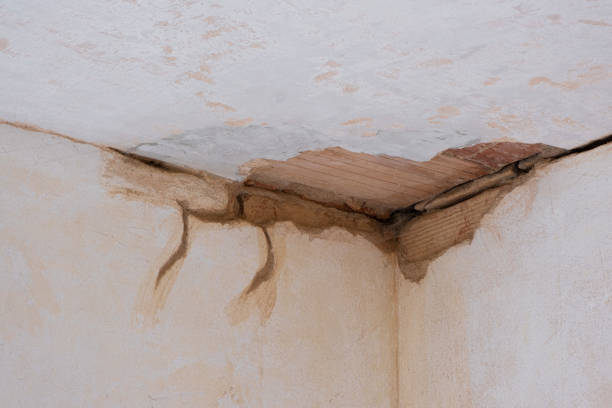 Best Basement water damage restoration  in Berthoud, CO