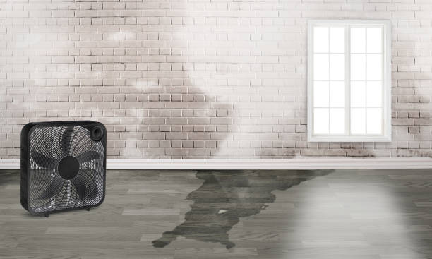 Best 24-hour water damage restoration  in Berthoud, CO