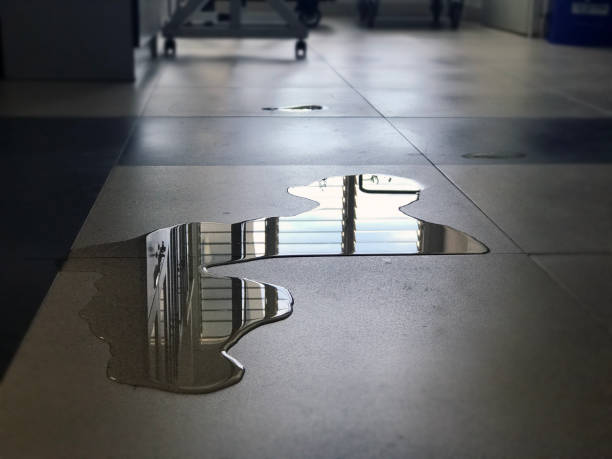 Best Professional water damage repair  in Berthoud, CO