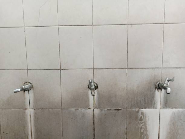 Best Water damage contractors near me  in Berthoud, CO