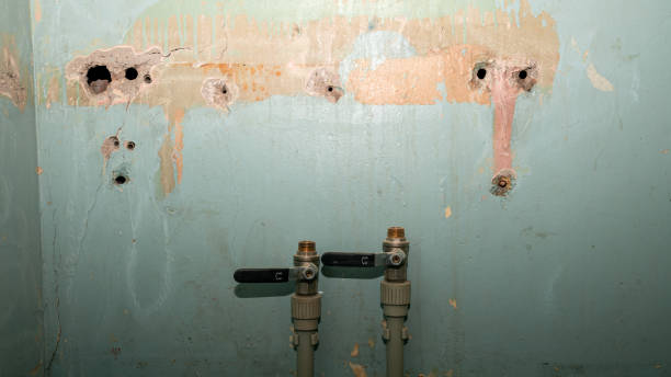 Reliable Berthoud, CO Water damage restoration Solutions
