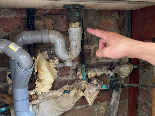 Best Sewage cleanup and water damage restoration  in Berthoud, CO