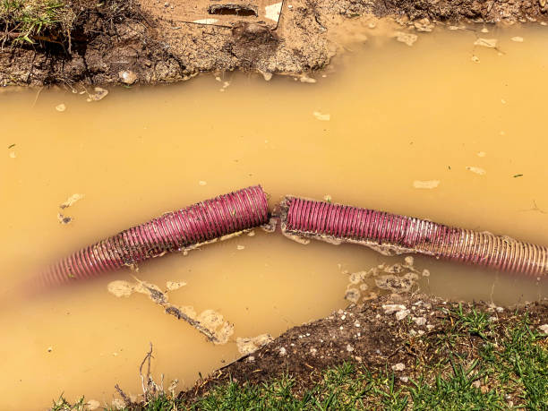 Best Residential water damage restoration  in Berthoud, CO