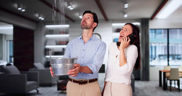 Best Ceiling water damage repair  in Berthoud, CO